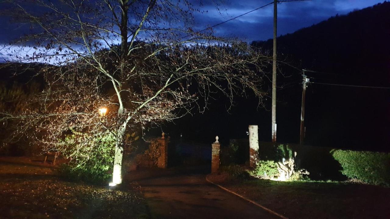 Le Wineck Villa Dambach Eksteriør billede