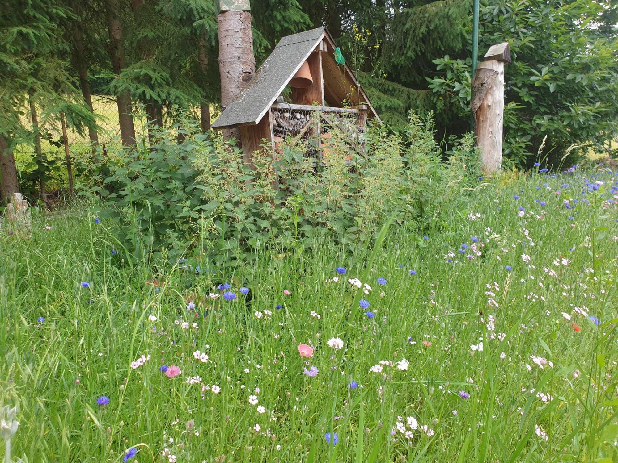 Le Wineck Villa Dambach Værelse billede