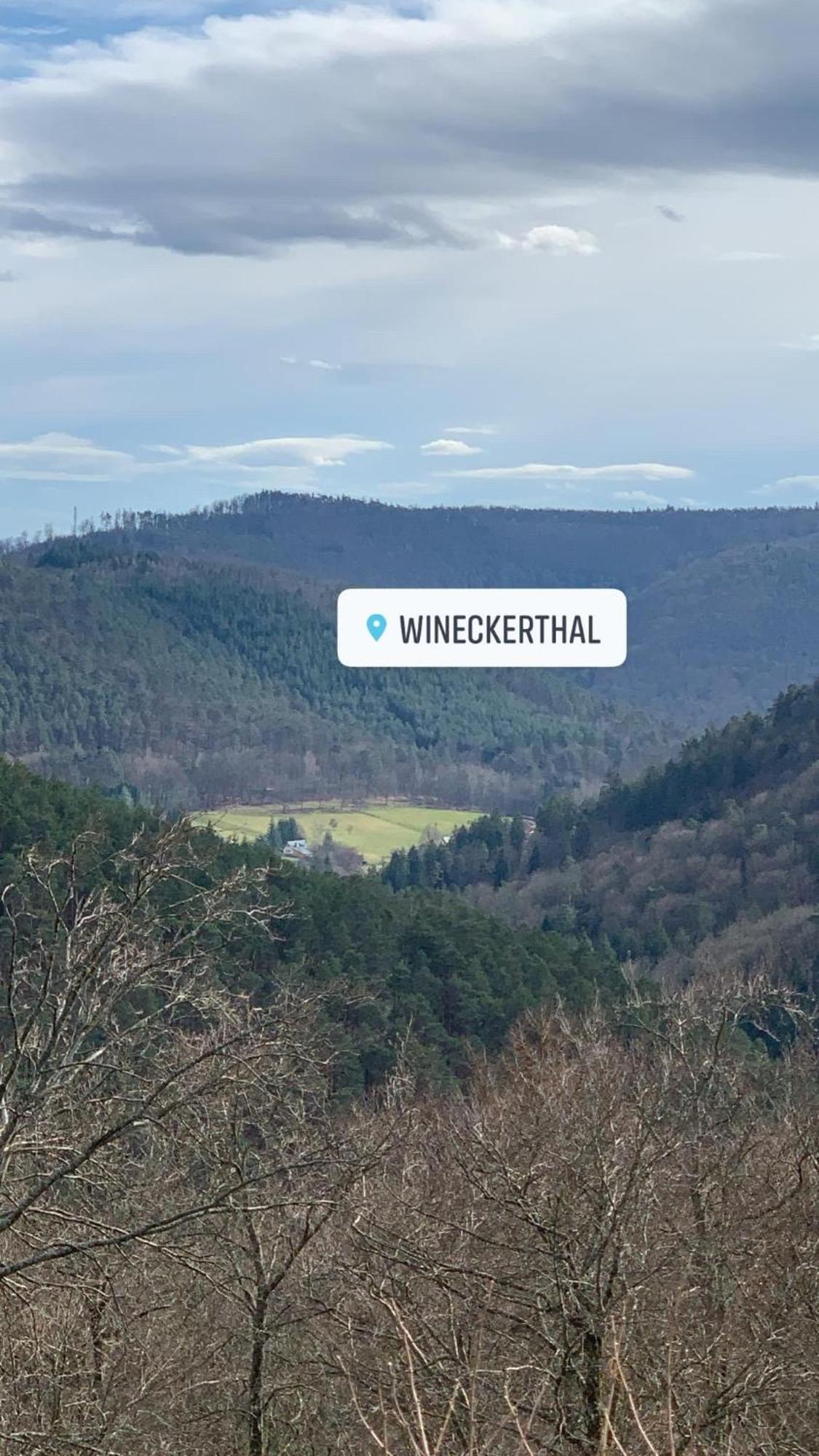 Le Wineck Villa Dambach Eksteriør billede