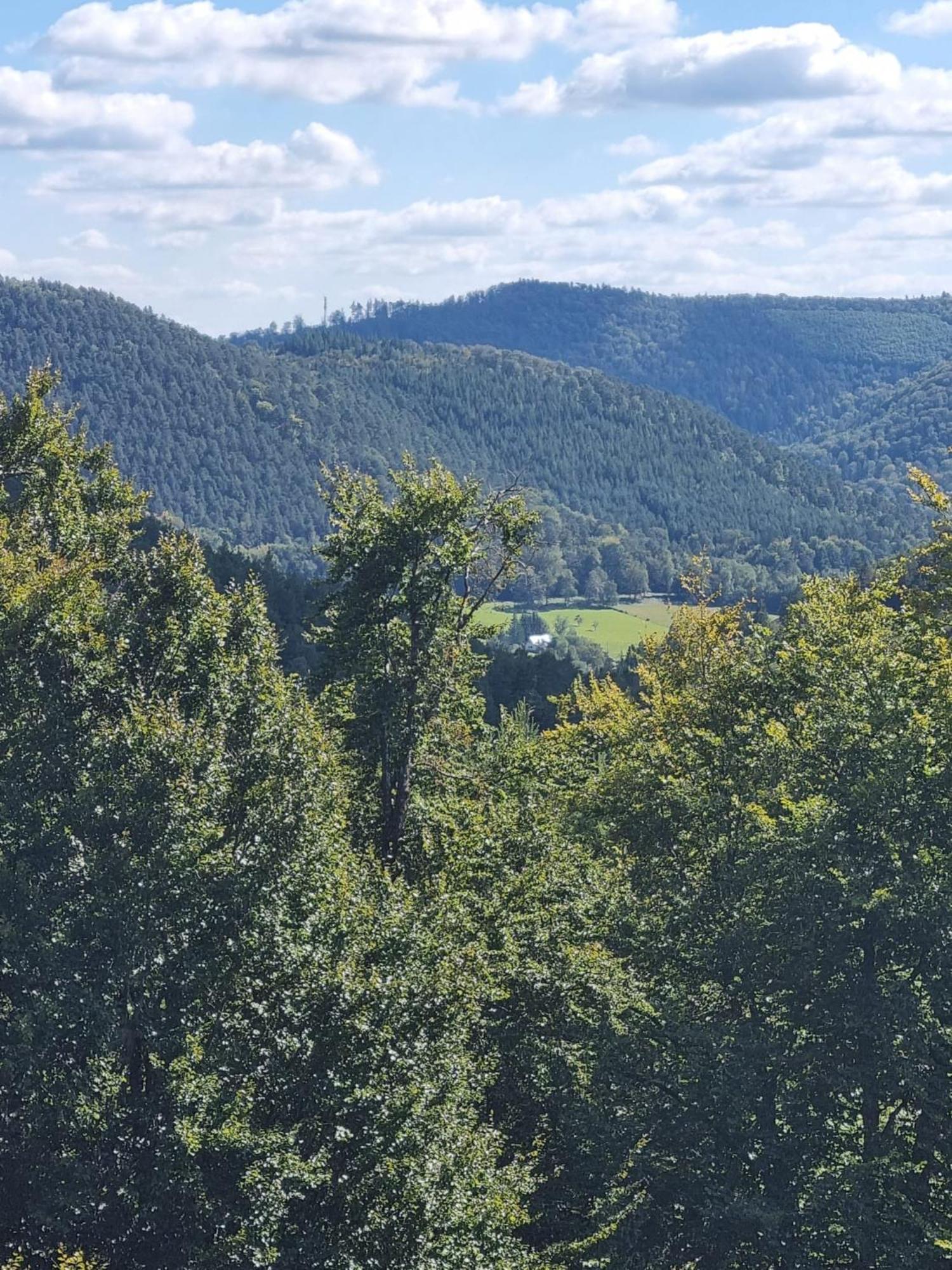 Le Wineck Villa Dambach Eksteriør billede