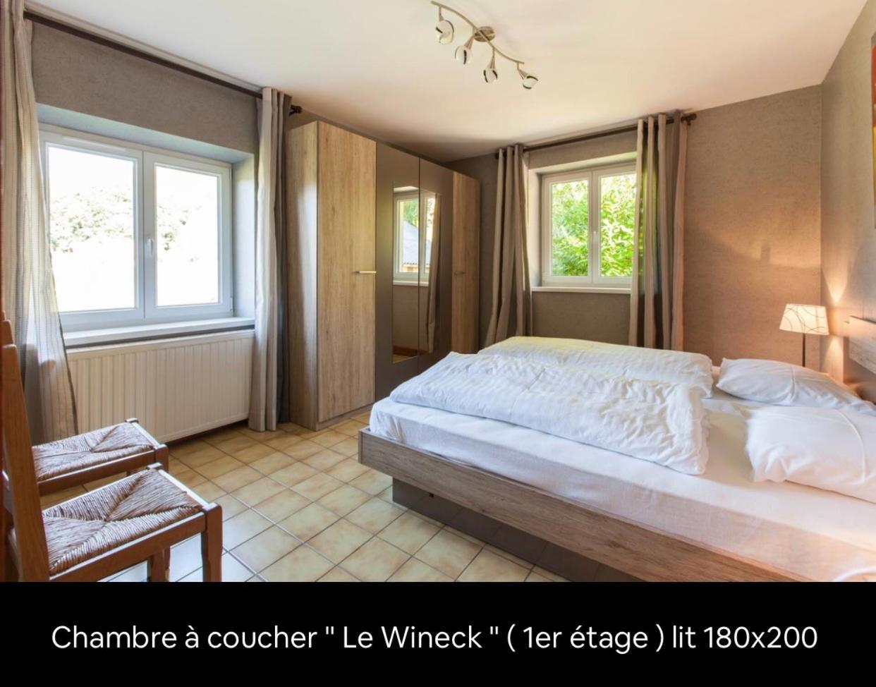 Le Wineck Villa Dambach Eksteriør billede