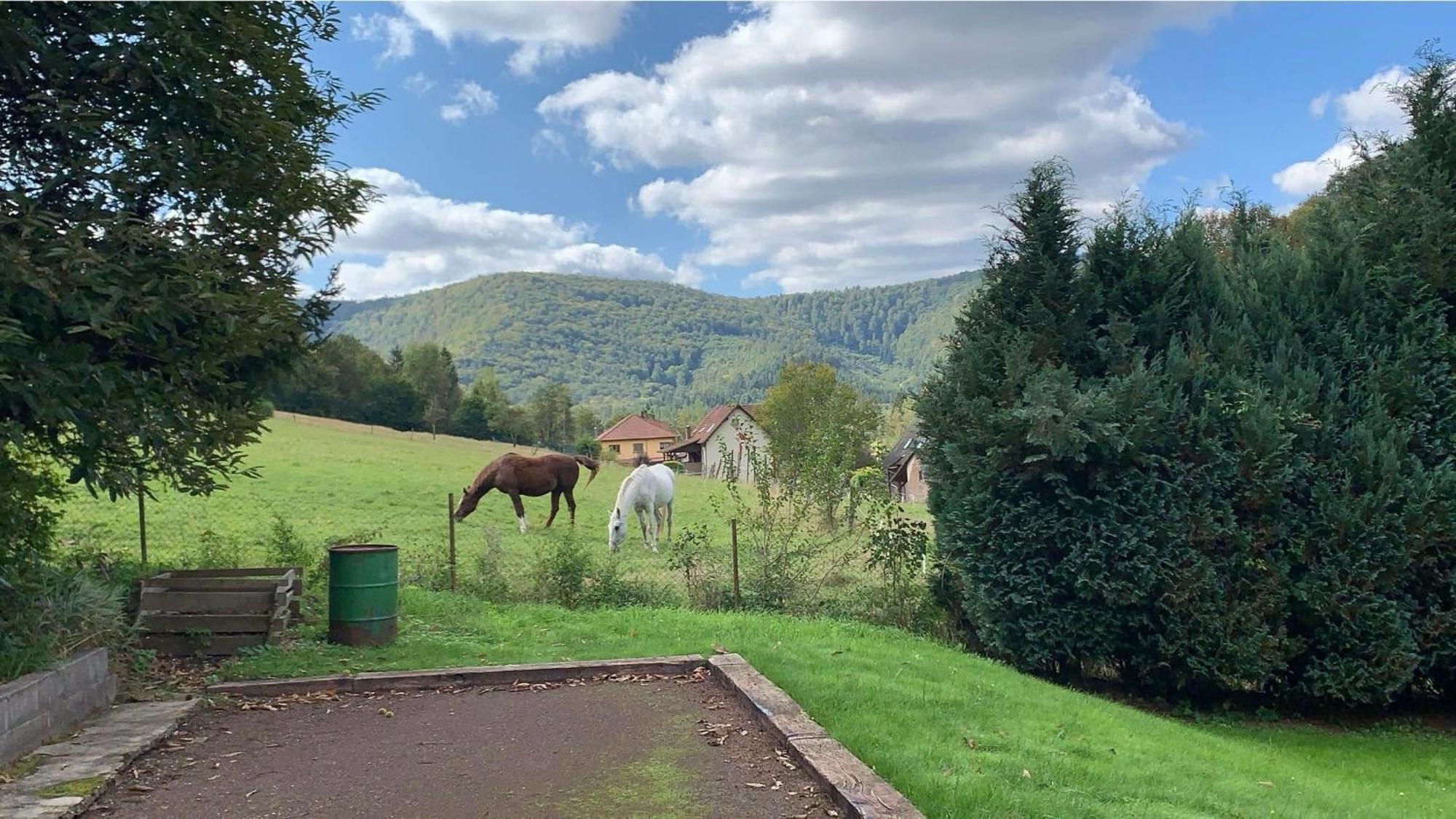Le Wineck Villa Dambach Eksteriør billede