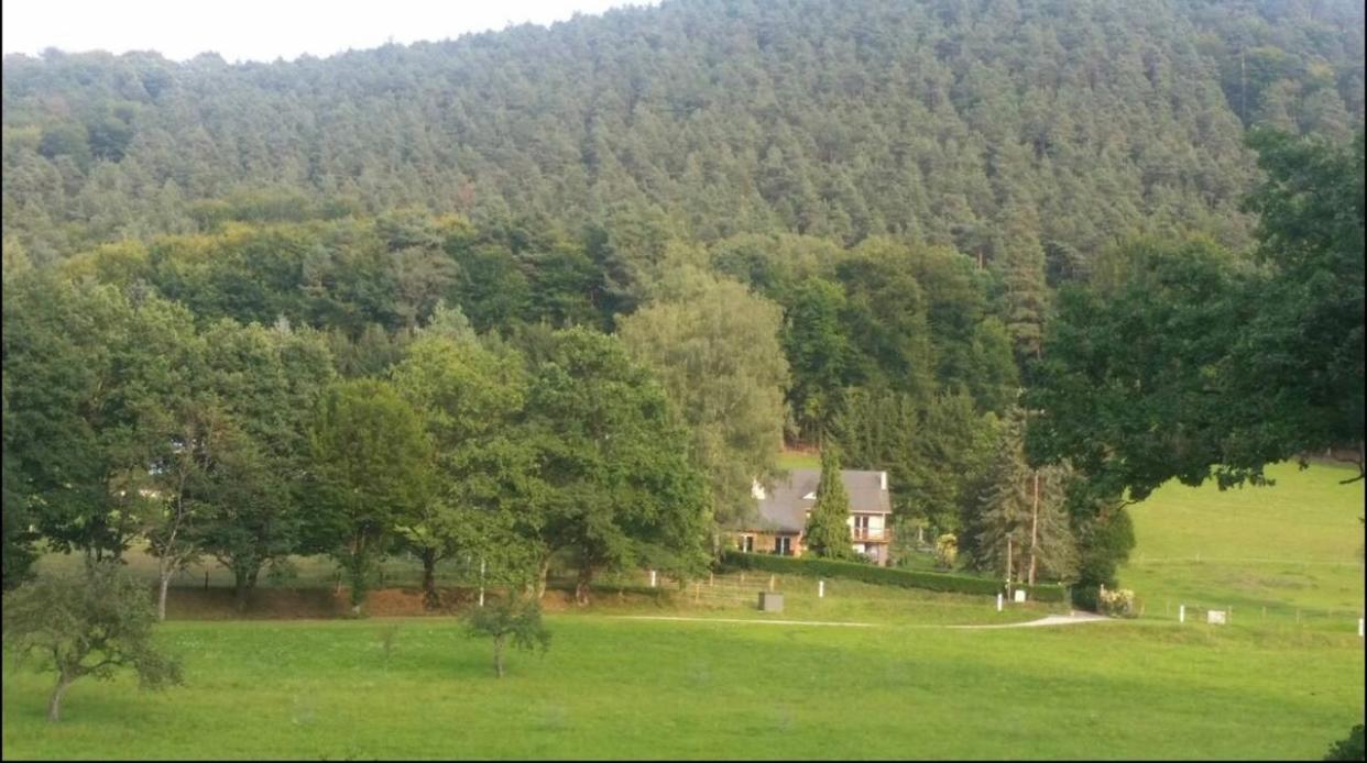 Le Wineck Villa Dambach Eksteriør billede